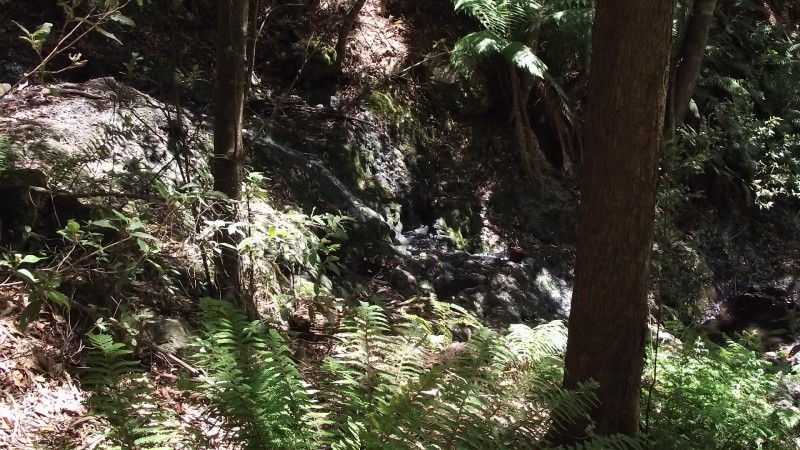 Hogg Ck Falls 9.JPG