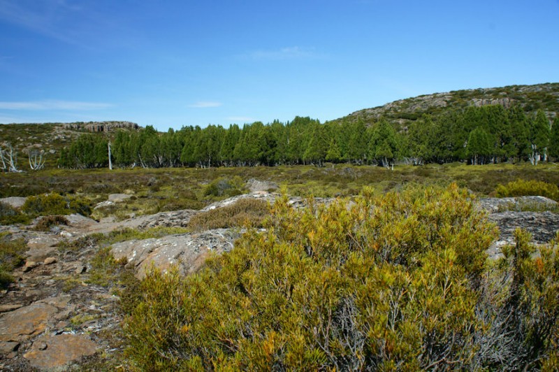 DSC03735.jpg