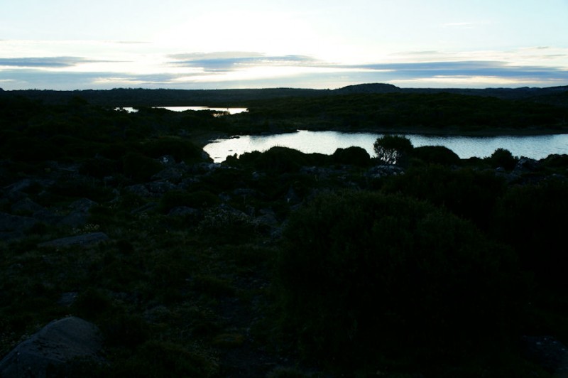 DSC03797.jpg