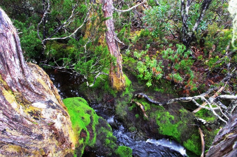 B5Stream4408.JPG