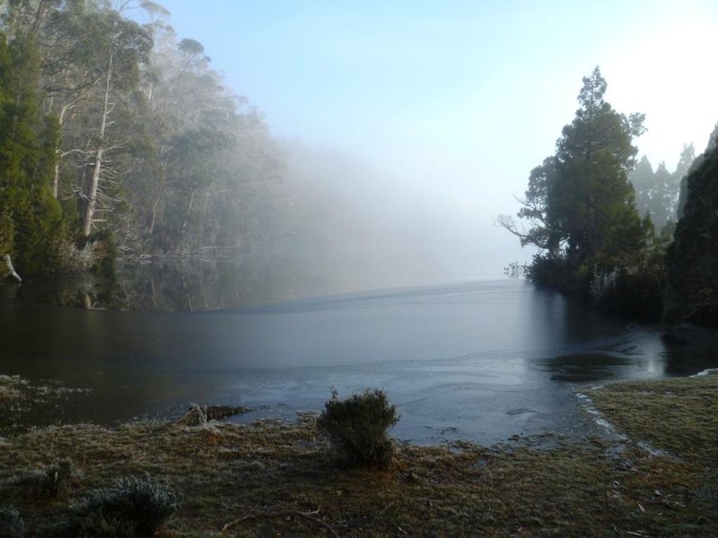 P1010894d.jpg
