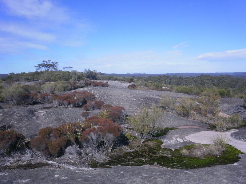 Taffys Rock Jul 13 018.JPG