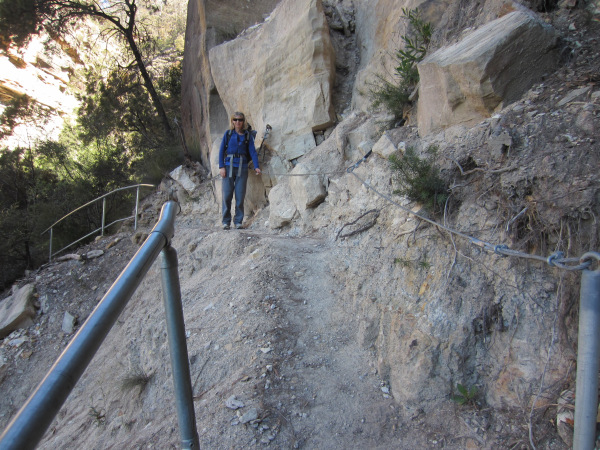 Landslip track with cable rail 2.jpg