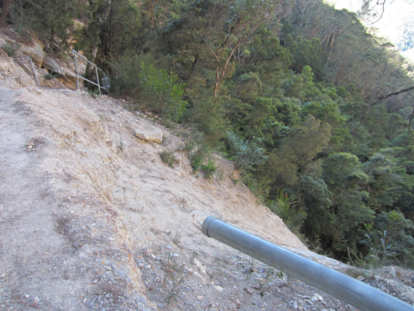 Landslip track with cable rail 3.jpg