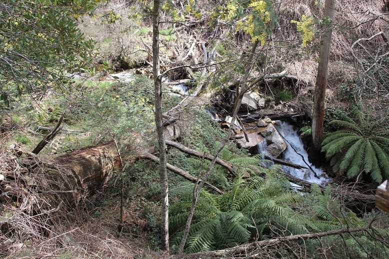 Chalet Falls Lower.jpg