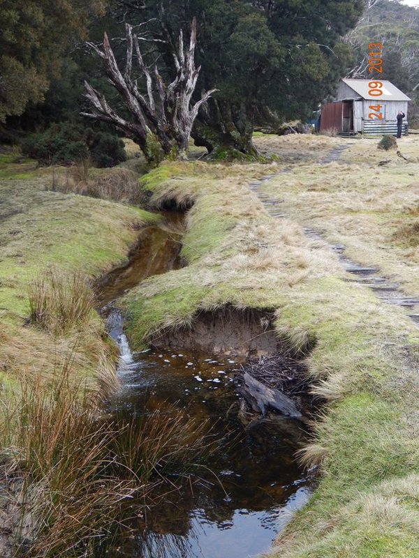 Overland Track 2013 080.JPG