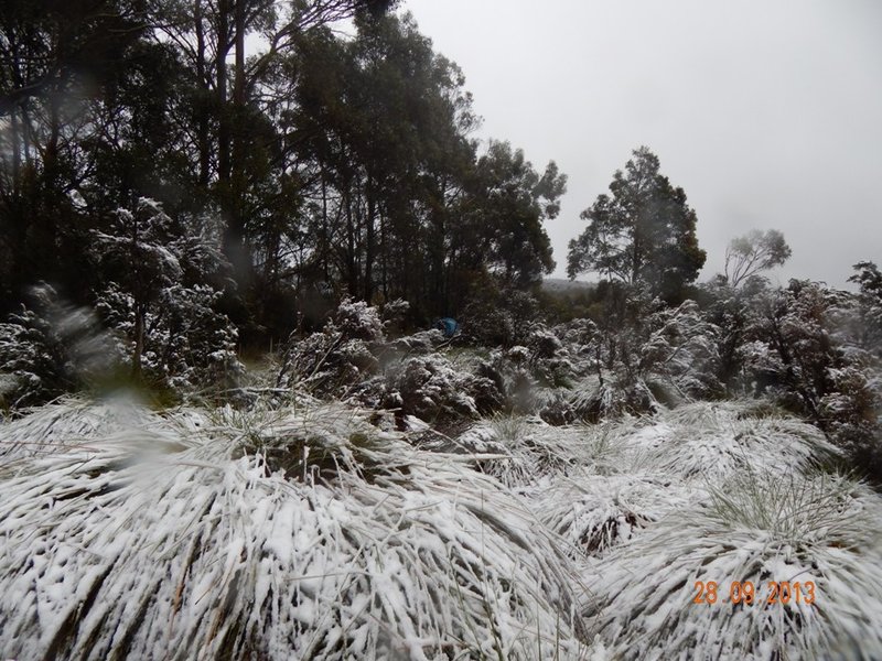 Overland Track 2013 227.JPG