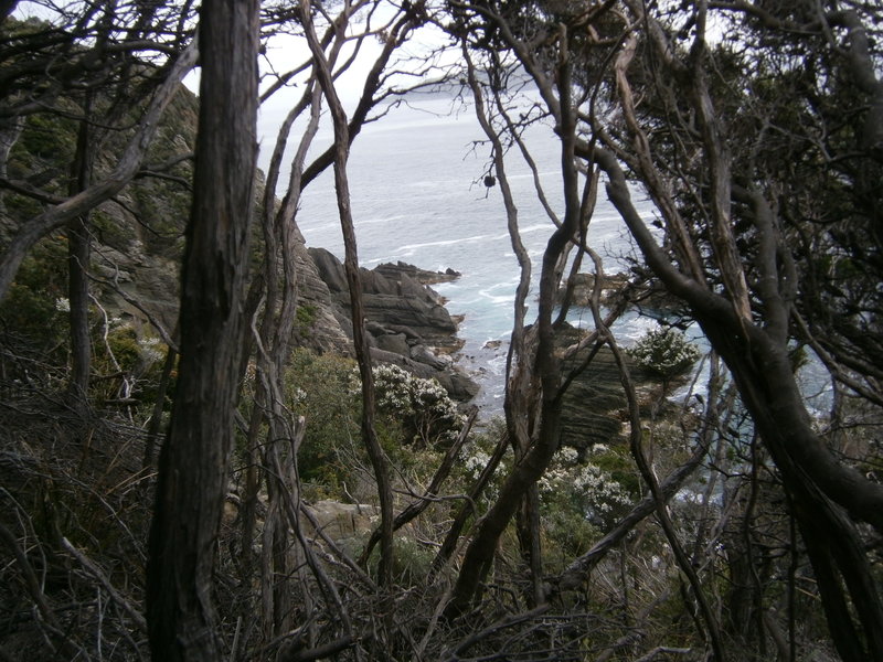 PC131428.JPG
