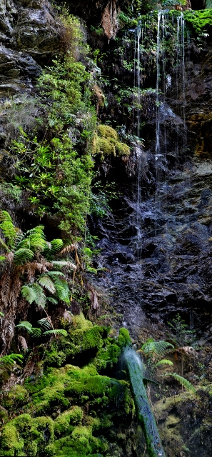 Lovers Falls Stitch (297x640).jpg