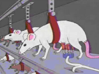 rat-milk.jpg