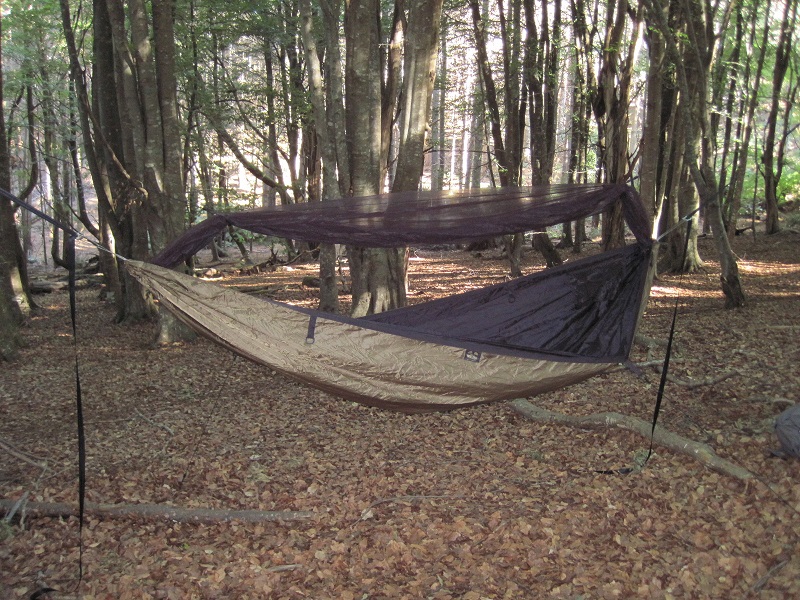 Switchback hammock.jpg