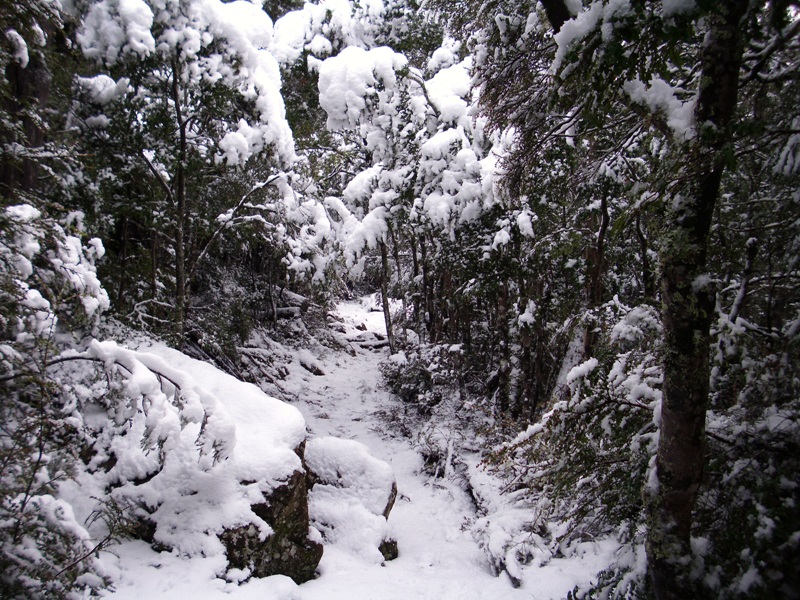 Not Meander Falls 4.jpg