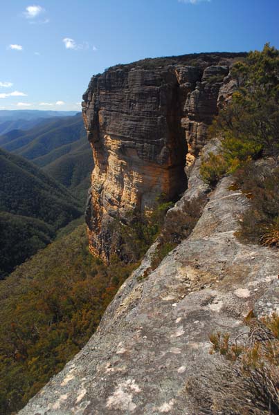 Kanangra Walls 058 - Plateau walk (25) sp.jpg