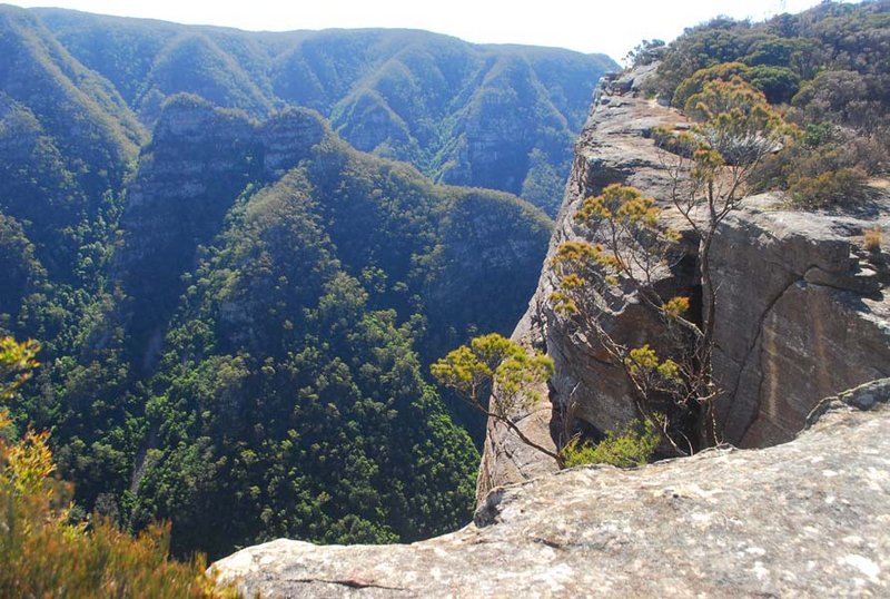 Kanangra Walls 058 - Plateau walk (41).jpg