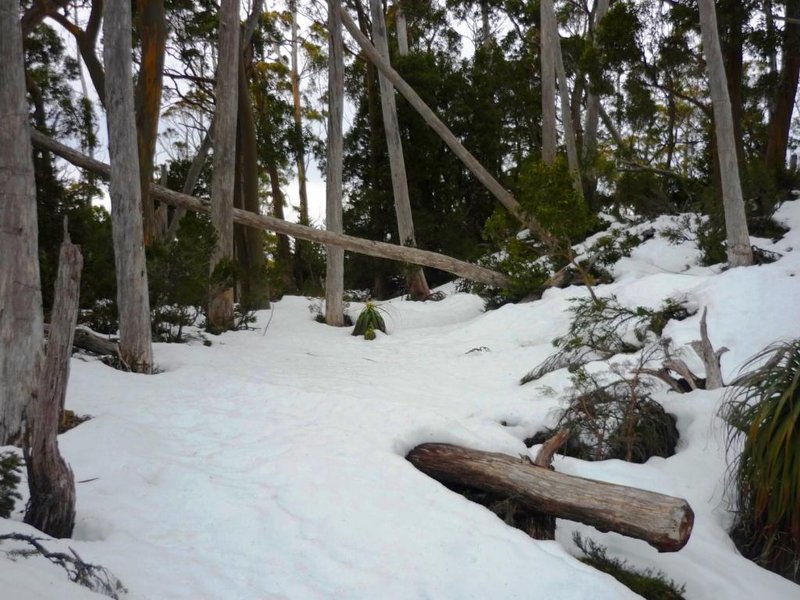 Mount Rufus + Little Hugel Tracks (11).jpg