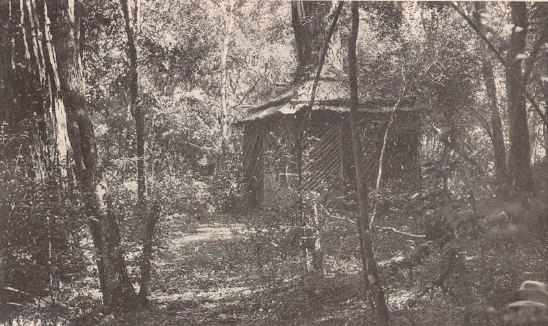 SLNSW_796842_Rest_House_Sassafras_Gully_Springwood.jpg