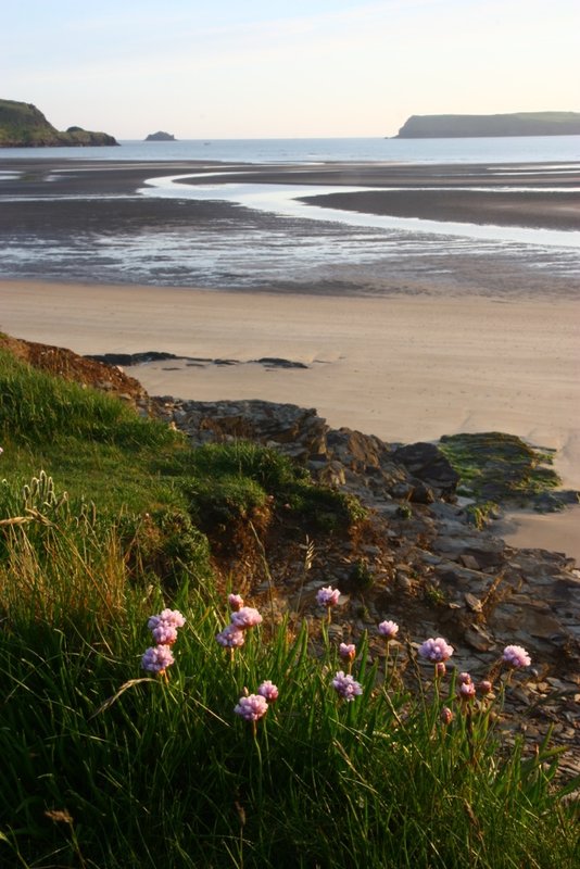 IMG_0131 Padstow.jpg