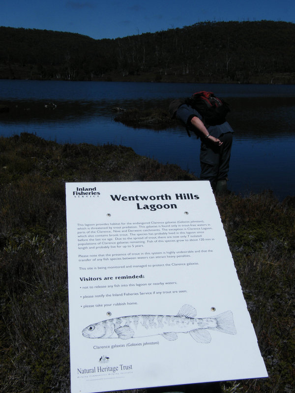 Sign At Wentworth Hills.JPG