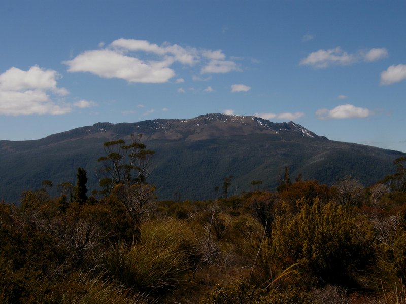 Mt Gell From Alma.JPG