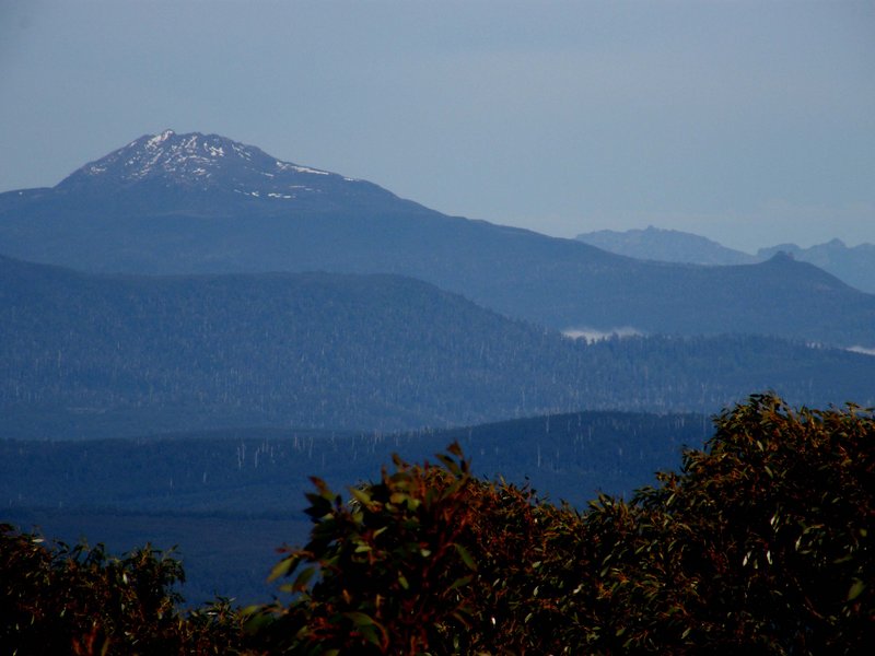 Picton Riveaux and WA.JPG