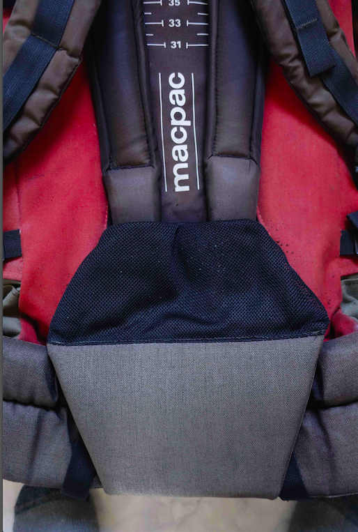 harness.jpg