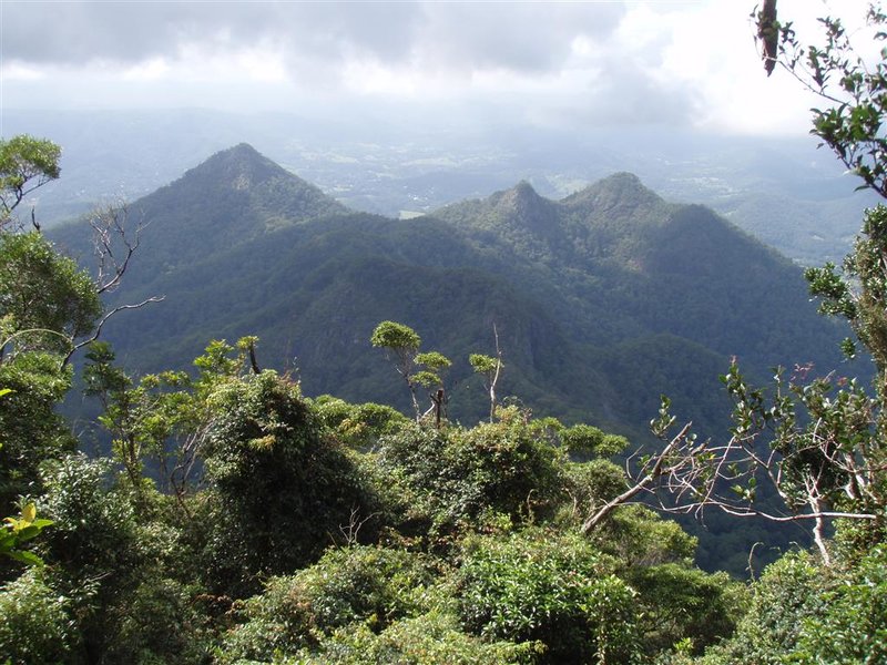 Mt Warning view P3280001 (1) (Medium).JPG