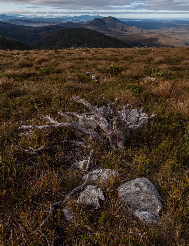 Norfolk Range.jpg