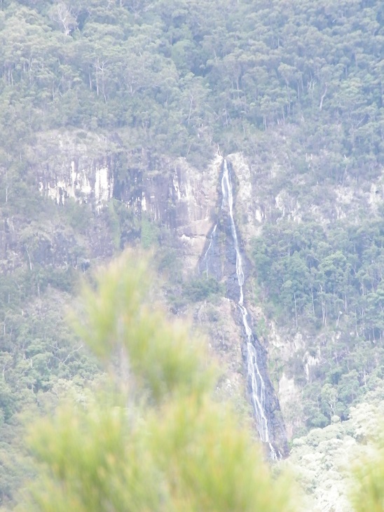 Binna Burra 2010 022.JPG