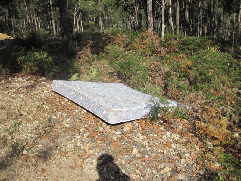 Dumped mattress.JPG