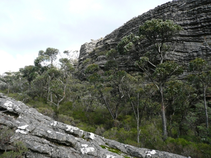 The Fortress loop in Grampians  July24-26 2009 069.JPG