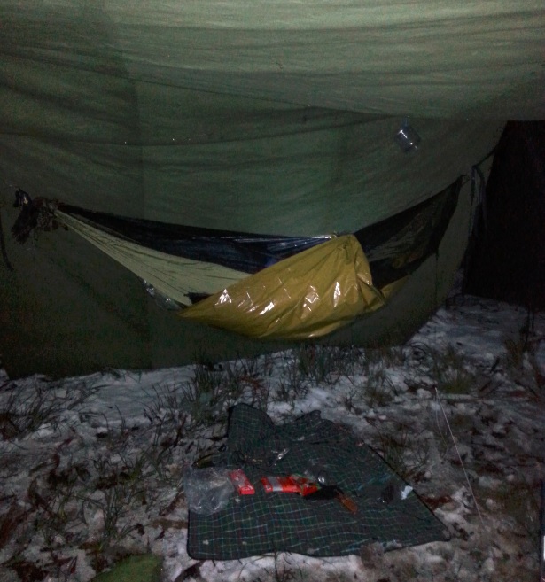 hammockss.jpg