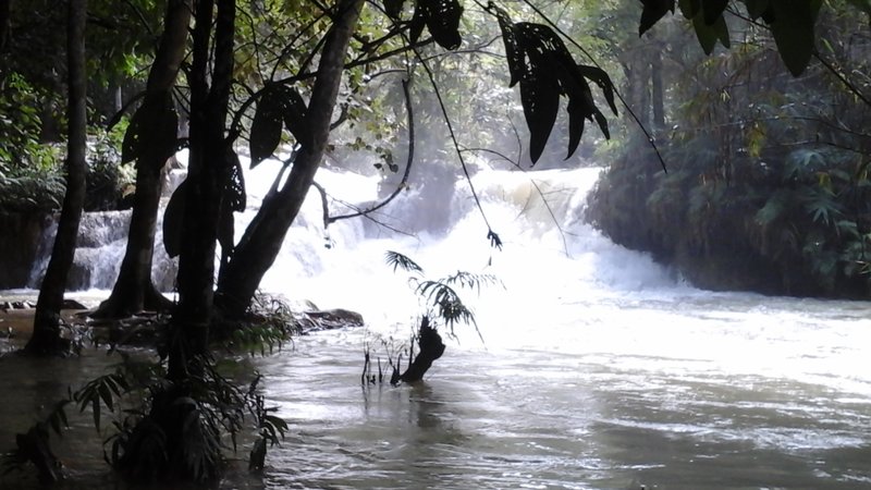 20151006_175241.jpg