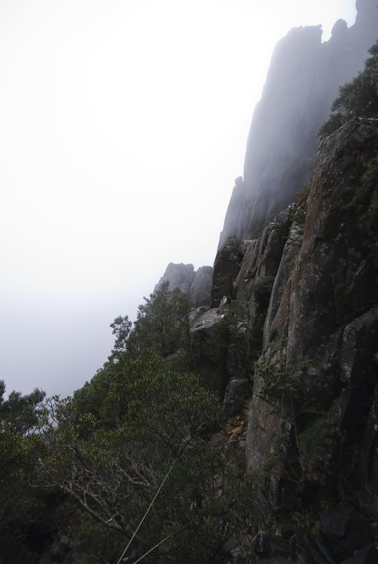 DSC_0026 copy.jpg