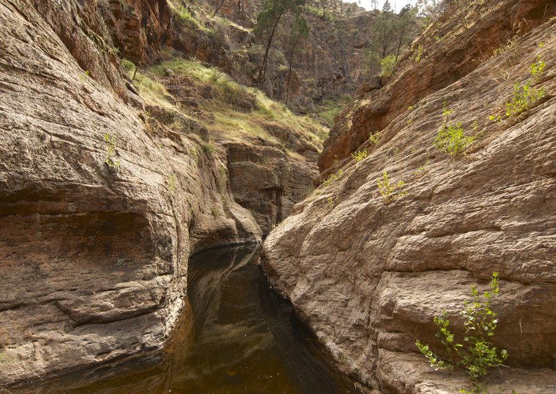 6 - Constriction - Telowie Gorge.jpg