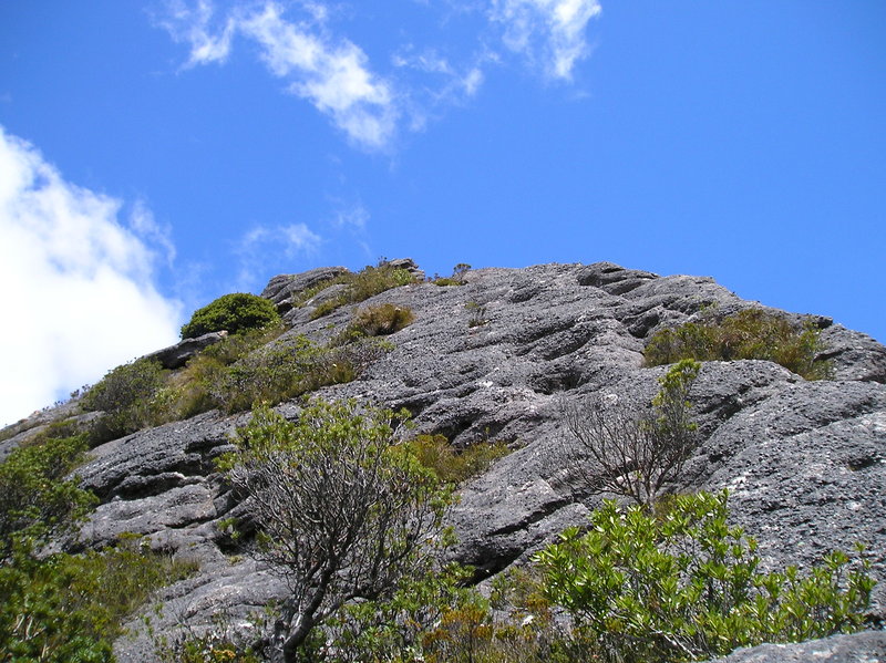P1010028.JPG