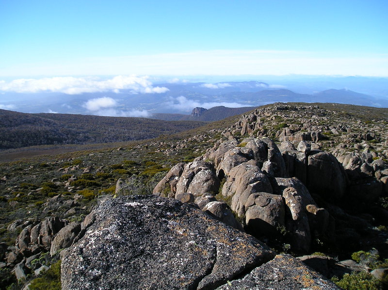 P1010067.JPG
