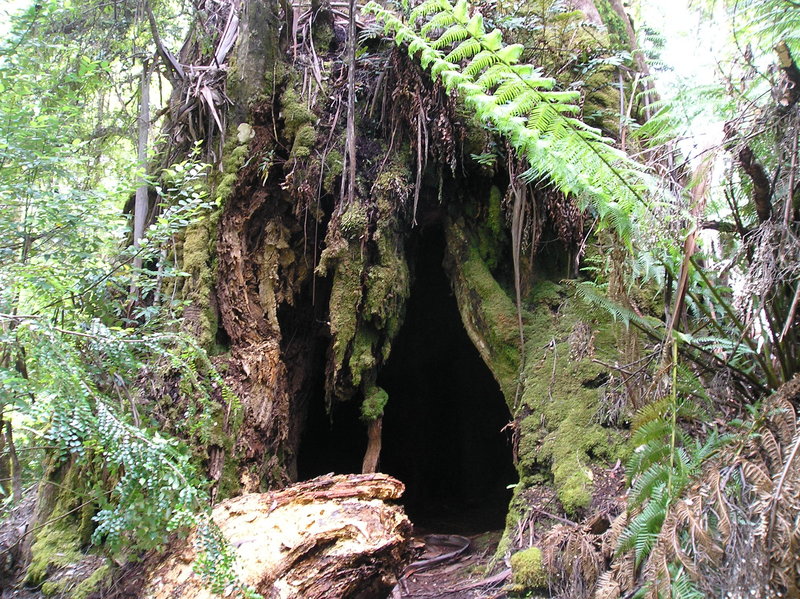 P1010350.JPG