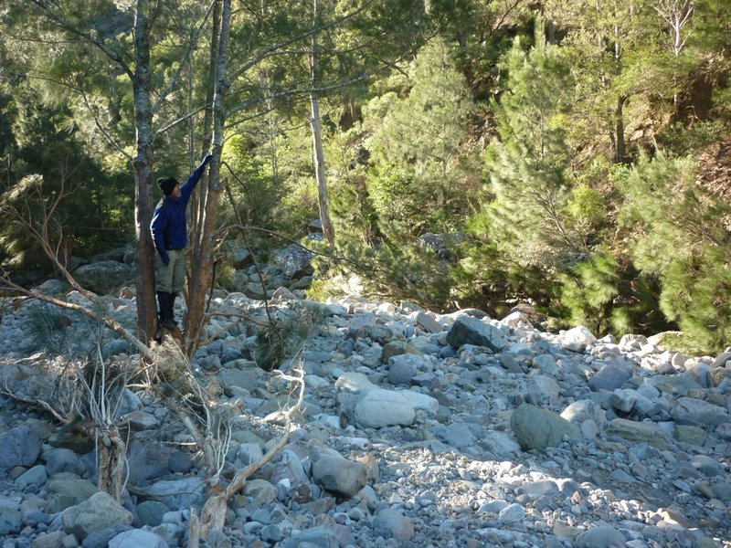 jones creek water level at ettrema junction.jpg