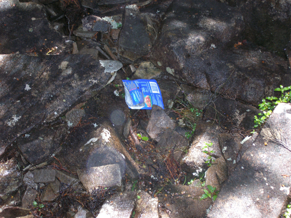 LitterGrailFalls.jpg
