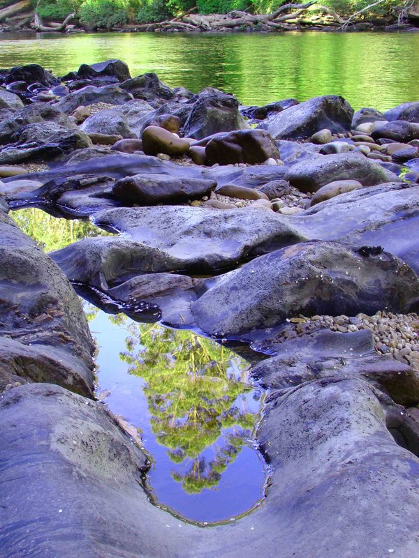 Huon River Rocks.JPG
