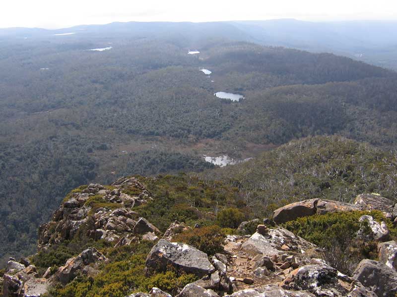 MT_PILLINGER-055.jpg