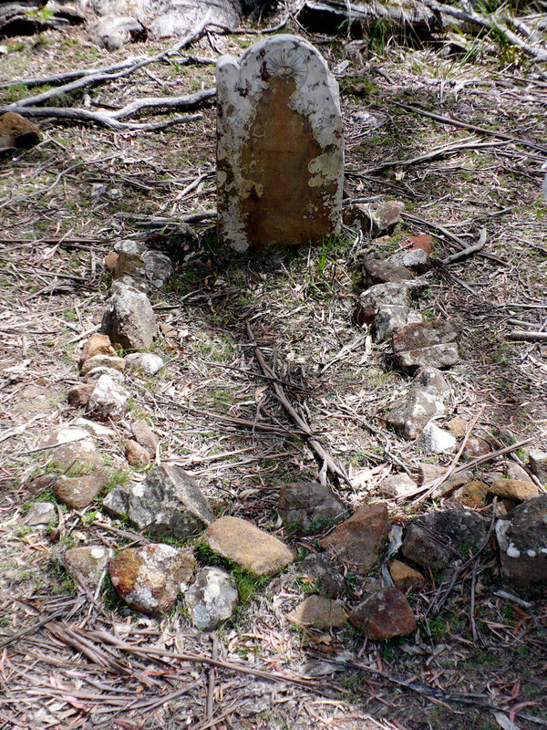 P1090077.JPG