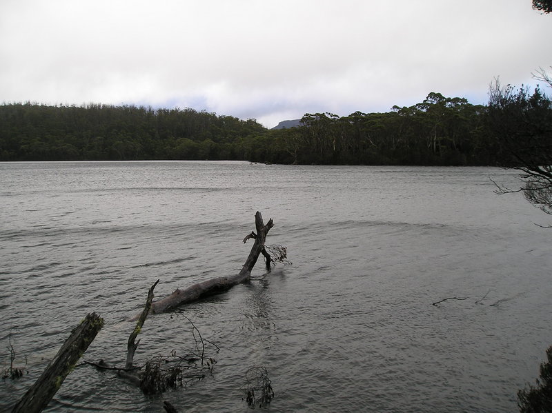 P1010547.JPG