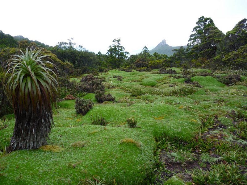 P1000053.jpg