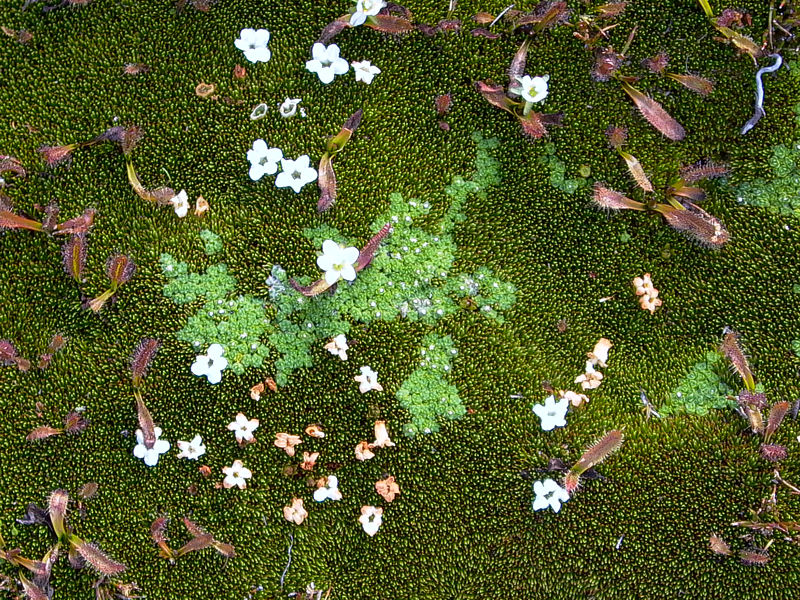 P1090664.jpg
