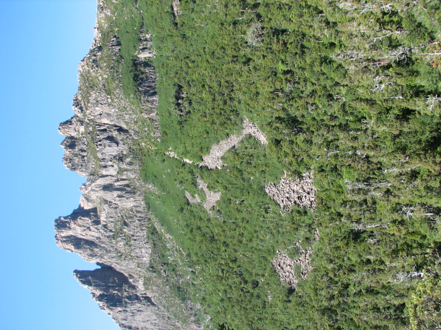 IMG_9141.JPG