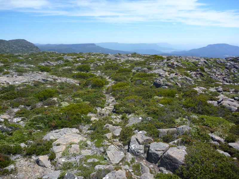 On the top of the world.jpg