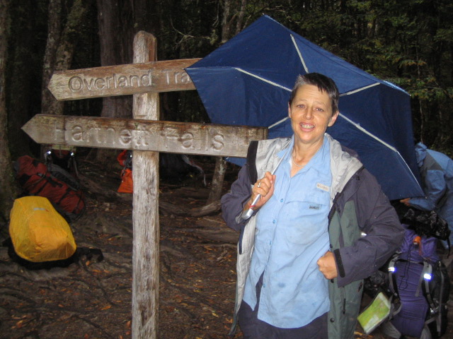 Umbrella on the way to Windy Ridge Hut.JPG