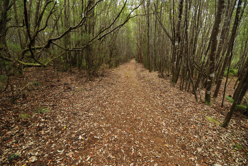 DSC_02690268.JPG