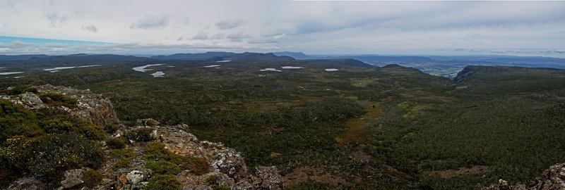 4450ViewPan.JPG